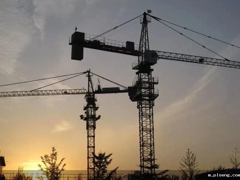 图片来源:现场拍摄