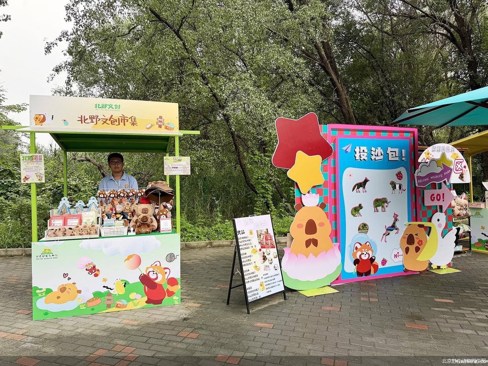 北京野生动物园供图